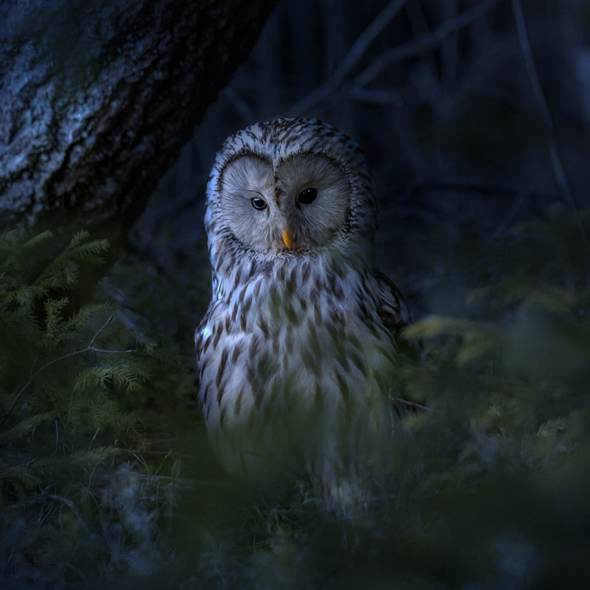 🌙 What You’ll Find Here: Guidance, Reflection, and the Soul