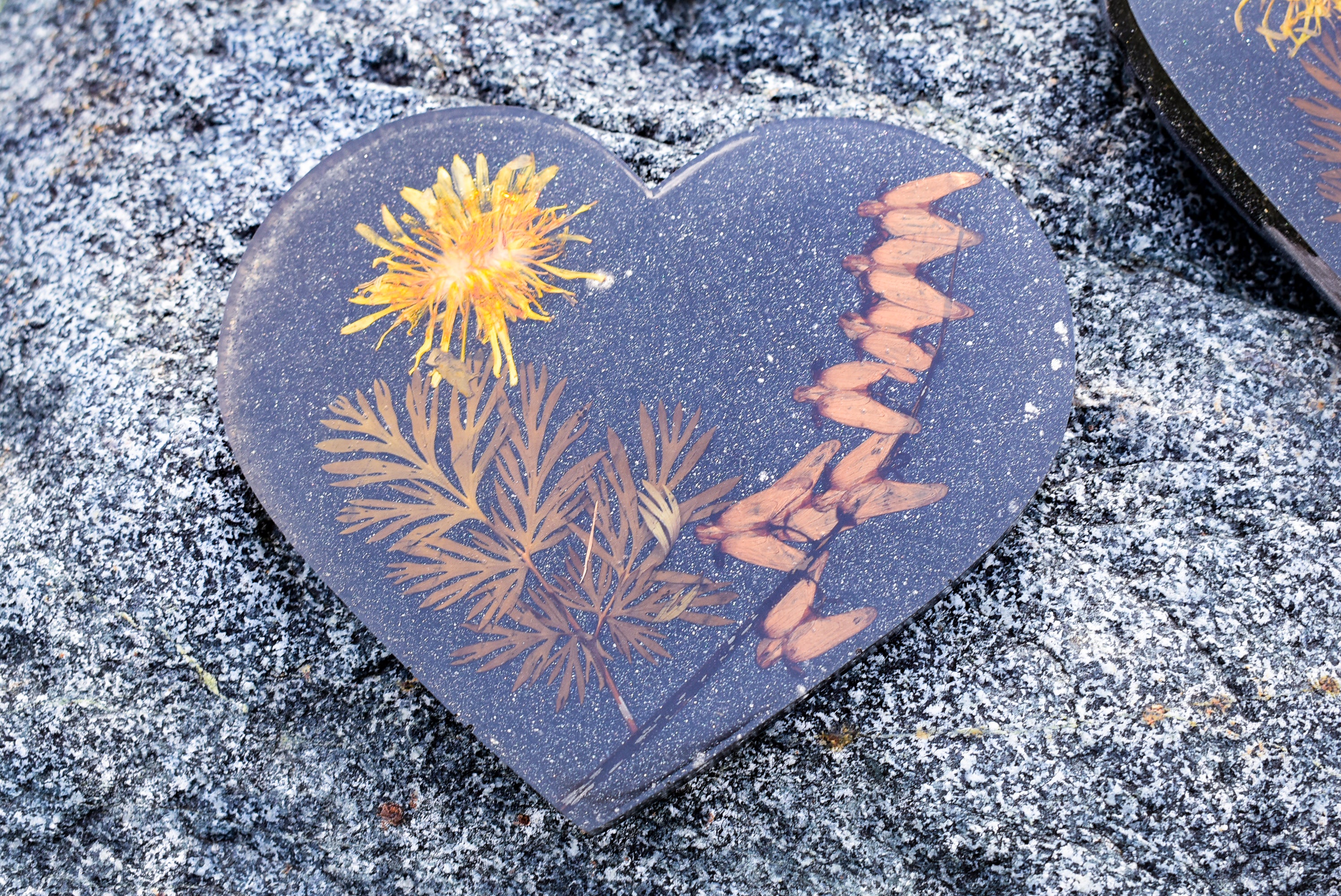 Pressed Wildflower Heart Coaster Set – Dandelion & Dutchman’s Breeches (Set of 4)